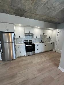 New 2 Bedroom 2 Bathroom Available Now in Minnow Lake