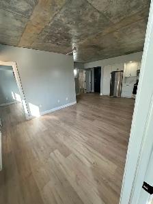 New 2 Bedroom 2 Bathroom Available Now in Minnow Lake - Photo 2