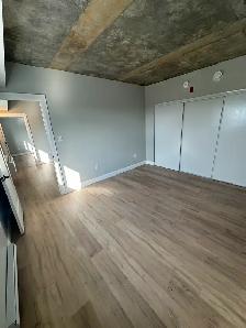 New 2 Bedroom 2 Bathroom Available Now in Minnow Lake - Photo 4