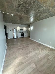 New 2 Bedroom 2 Bathroom Available Now in Minnow Lake - Photo 6