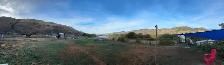Dog Boarding - Photo 4