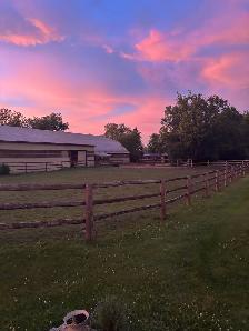 Horse Farm Maintenance - Photo 2