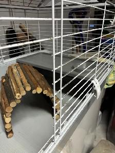Living World Rabbit Cage - Photo 3