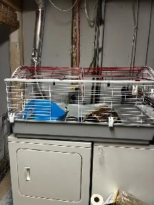 Living World Rabbit Cage - Photo 4