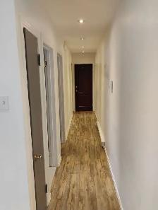 3 1/2 24E Ave, Grand Demi Sous-Sol à louer - Photo 3