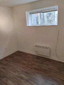 3 1/2 24E Ave, Grand Demi Sous-Sol à louer - Photo 5
