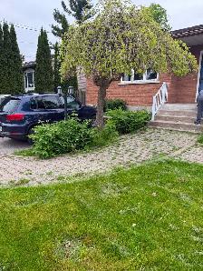 Room for Rent - Photo 6