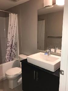 Executive Top floor 2 bedroom 1 bathroom Skyview condo for rent - Photo 4