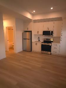 Brand New 1 Bedroom Basement Suite in Sylvan Lake - Photo 2