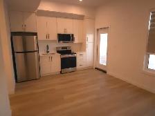 Brand New 1 Bedroom Basement Suite in Sylvan Lake - Photo 3