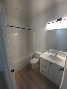 Brand New 1 Bedroom Basement Suite in Sylvan Lake - Photo 4