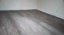 1 Bedroom basement Apartment Toronto includes utilities, parking - Photo 6