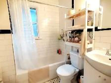 4 BED 2 BATH House Newly Renovated ,High Park - Photo 7