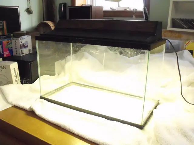 AQUARIUM, ACCESSORIES