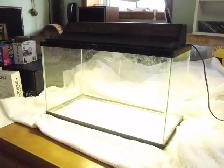 AQUARIUM, ACCESSORIES