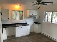 4-1/2 À LOUER / FOR RENT, VIEUX-LONGUEUIL - Photo 16