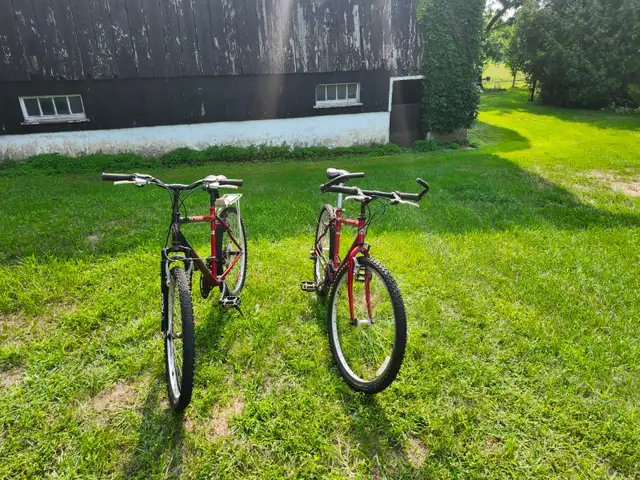 Adult Mountain Bikes For Sale