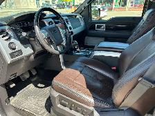 2011 Ford F150 Platinum - Photo 8