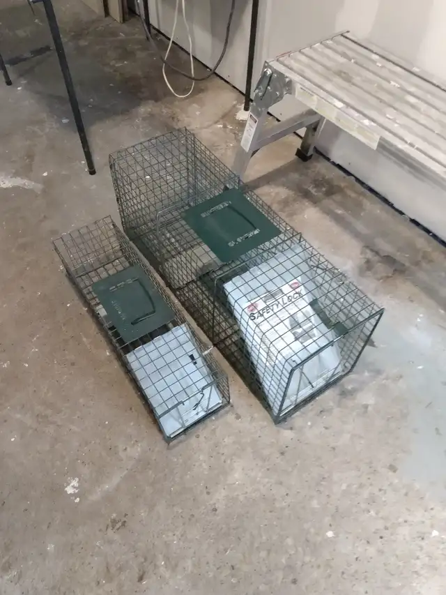 Animal Trap