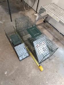 Animal Trap - Photo 5