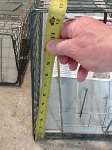 Animal Trap - Photo 7