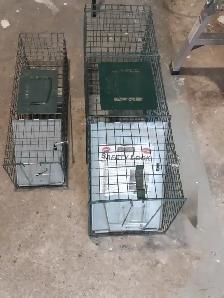Animal Trap - Photo 10