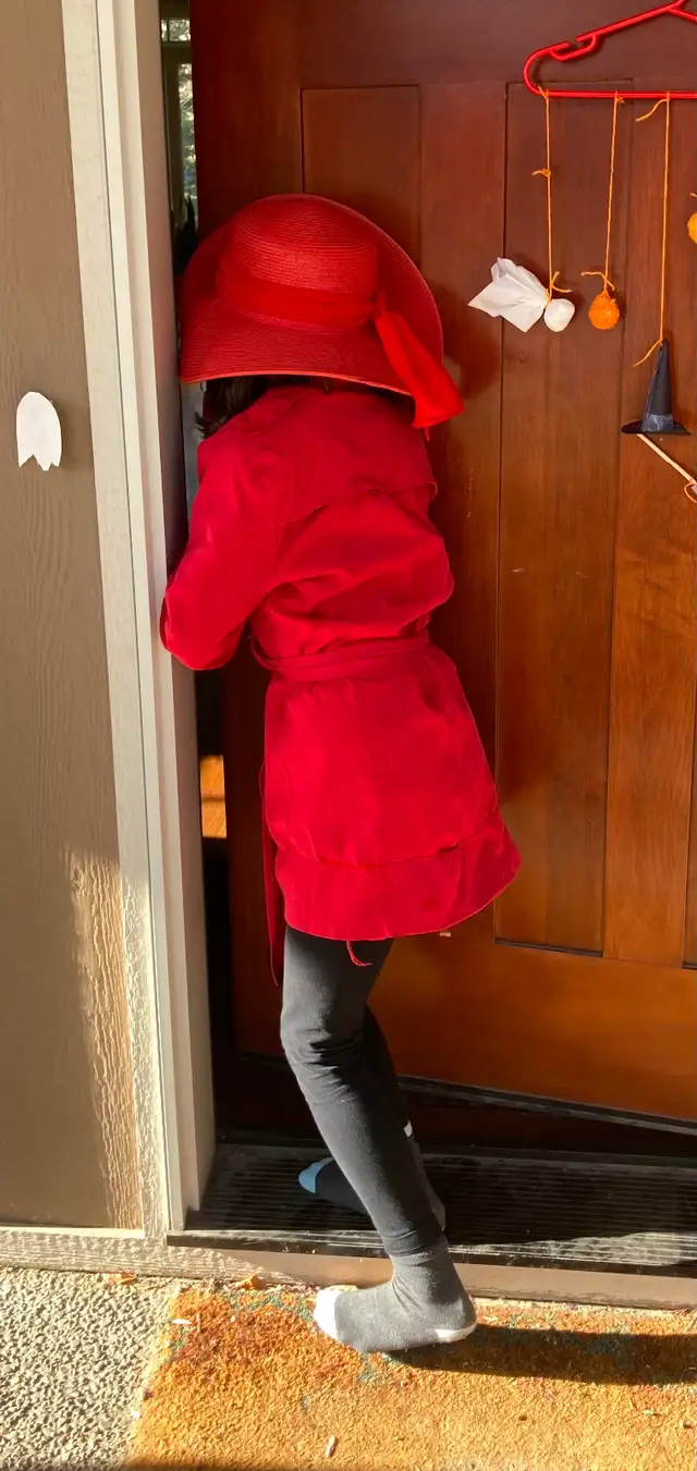 Halloween costume Carmen San Diego