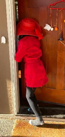 Halloween costume Carmen San Diego