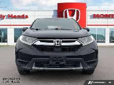 2019 Honda CR-V LX - Photo 2