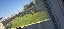 House for Rent - Photo 3