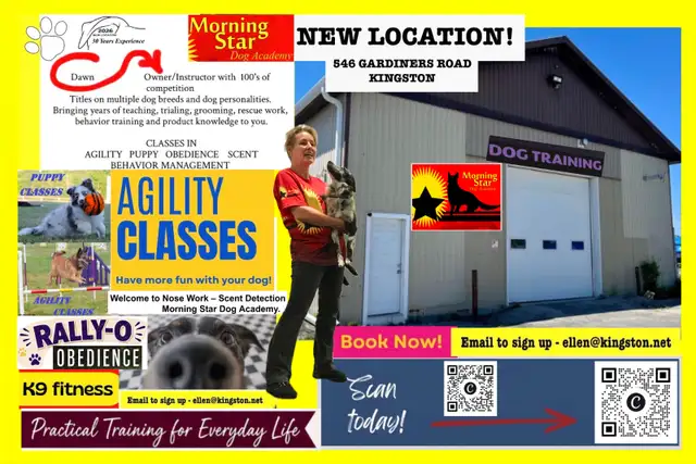 DOG TRAINING KINGSTON ONTARIO WITH MORNING STAR DOG ACADEMY