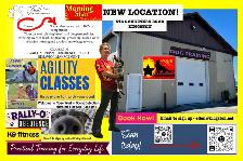 DOG TRAINING KINGSTON ONTARIO WITH MORNING STAR DOG ACADEMY