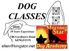 DOG TRAINING KINGSTON ONTARIO WITH MORNING STAR DOG ACADEMY - Photo 2