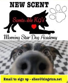 DOG TRAINING KINGSTON ONTARIO WITH MORNING STAR DOG ACADEMY - Photo 3