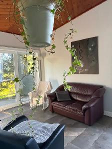 Chambre paisible Lévis - Photo 4