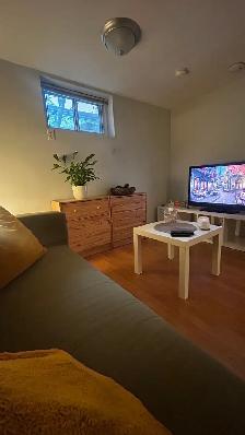 Furnished 1 Bedroom Basement suite - Photo 4