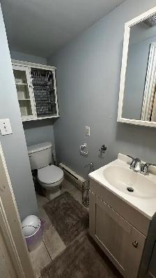 Furnished 1 Bedroom Basement suite - Photo 9