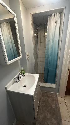 Furnished 1 Bedroom Basement suite - Photo 10