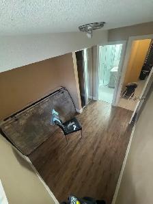 STARTING SEPTEMBER 5TH – 4 ROOMS FOR RENT NEAR YORK UNIVERSITY - Photo 5