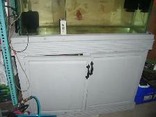 MOVING SALE 45 GALLON TANK, STAND, AQUA CLEAR FILTER $130 - Photo 3