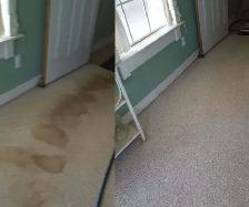 AMAZING Carpet Cleaning 416-836-4623 Services!! - Photo 4