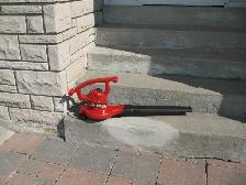 TORO Electric (Corded) Leaf Blower and Vacuum - Photo 2
