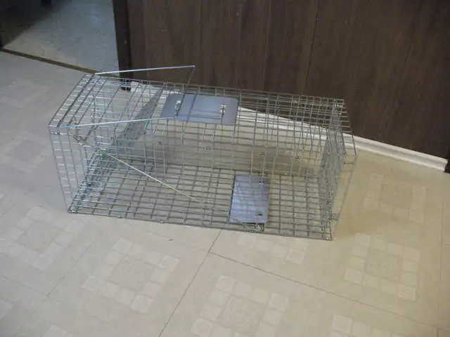 Live Animal (Racoon) Cage Trap, BRAND NEW