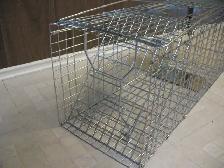 Live Animal (Racoon) Cage Trap, BRAND NEW - Photo 4