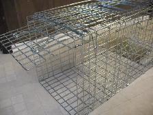 Live Animal (Racoon) Cage Trap, BRAND NEW - Photo 6