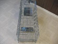 Live Animal (Racoon) Cage Trap, BRAND NEW - Photo 10