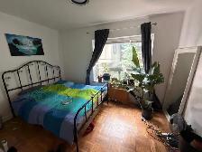 1 Bedroom in the Annex - Photo 6