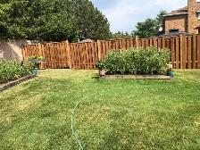 Fence Installations or Replacement in Discounted Price - Photo 4