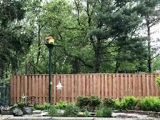 Fence Installations or Replacement in Discounted Price - Photo 7