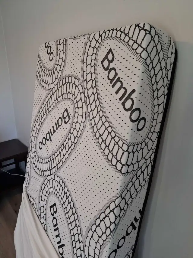 Twin Mattress